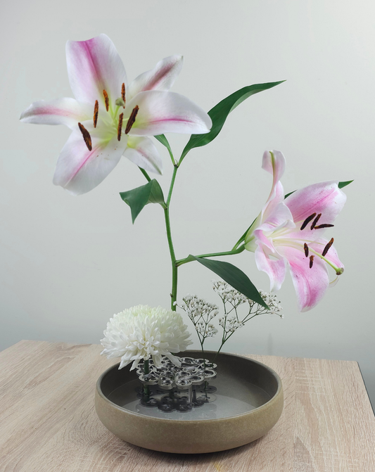 Mou' DuoDeca | Trehso Flower Frame